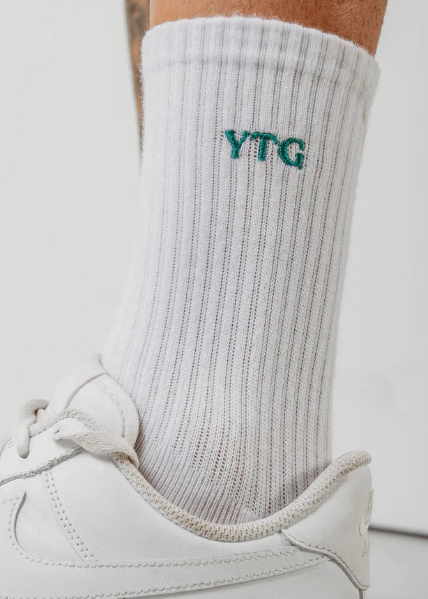 ytg socks [tfap x budgy smuggler]