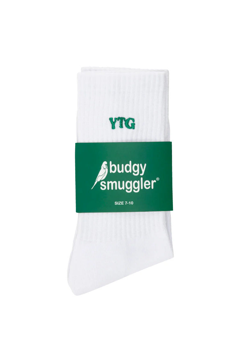ytg socks [tfap x budgy smuggler]